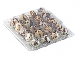 Упаковка для перепелиных яиц на 20 ячеек (квадратный)