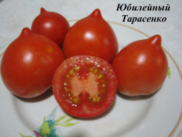 Вирошування помідорів