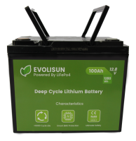 Аккумулятор LiFePO4 EVOLISUN EVO-12V100Ah