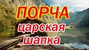 ПОРЧА «ЦАРСКАЯ ШАПКА»