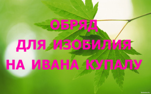 ОБРЯД ДЛЯ ИЗОБИЛИЯ НА ИВАНА КУПАЛУ