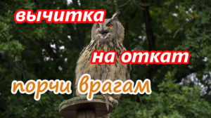 ВЫЧИТКА НА ОТКАТ ПОРЧИ ВРАГАМ