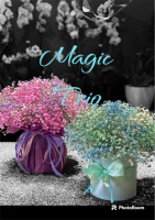 ​“Magic Trio”: Флористи, Які Творять Дива з Квітів