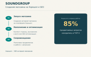 Sound Group: створення магазину на Хорошопі та SEO