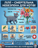 Лілії – смертельна небезпека для котів!