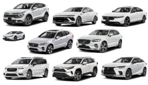 Сучасні гібриди 2025-2026 років