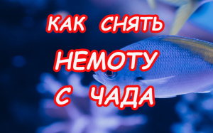 КАК СНЯТЬ НЕМОТУ С ЧАДА