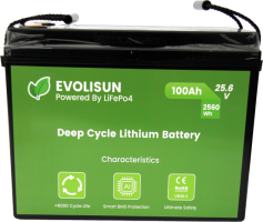 Аккумулятор LiFePO4 EVOLISUN EVO-24V100Ah