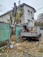 Спил дерева, покос травы , расчистка участков вывоз мусора Одеса