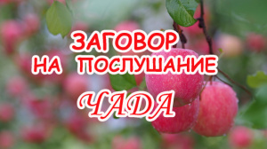 ЗАГОВОР НА ПОСЛУШАНИЕ ЧАДА