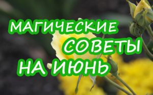 МАГИЧЕСКИЕ СОВЕТЫ НА ИЮНЬ