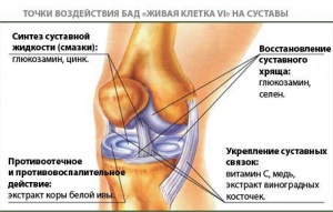 ​Профилактика суставных заболеваний. Витамины для суставов.