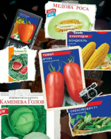 Оновлення асортименту насіння.