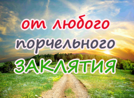 ОТ ЛЮБОГО ПОРЧЕЛЬНОГО ЗАКЛЯТИЯ