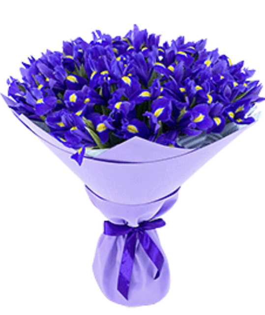 ІРИС Blue magic, замовити квіти, букет, доставка квітів Ⓜ️Оболонь Magic Trio ♥️