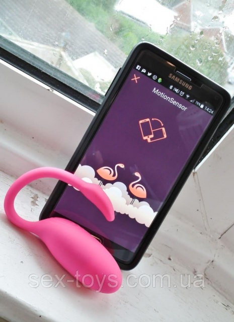 International lesbian and gay human rights Vibrating cone sex toy
