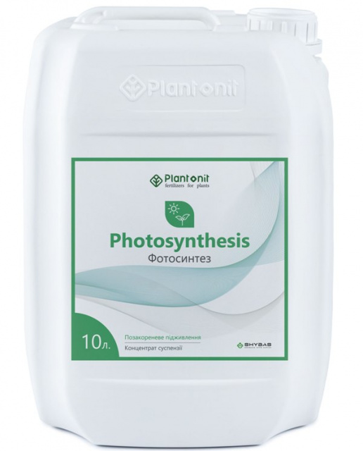 Фотосинтез - забезпечує рослини основними поживними речовинами.