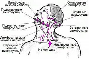 Лимфоузлы на лице схема