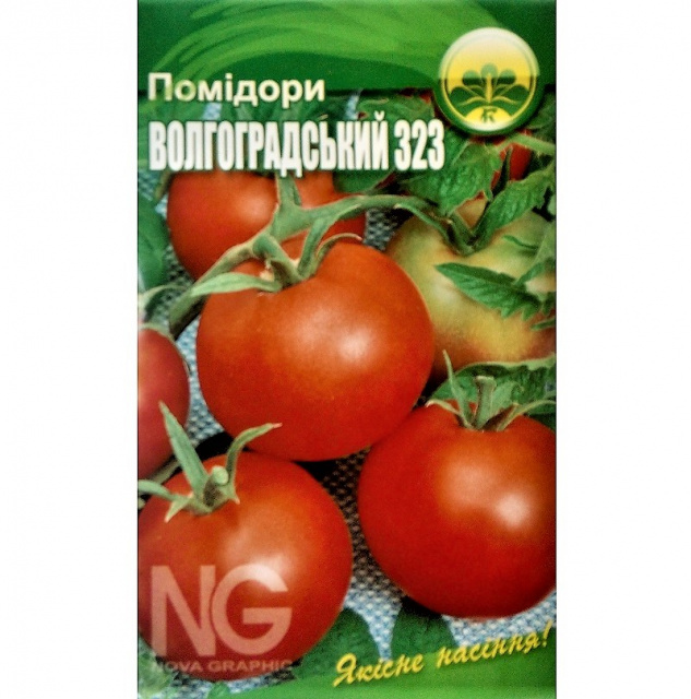 Помидор волгоградский 323 фото