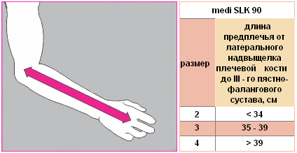 Длина предплечья как измерить фото