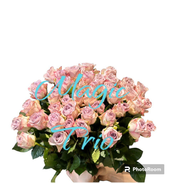 Купити букет із 51 троянди ,замовити букет, квіти Ⓜ️ Оболонь Київ ♥️ Від Magic Trio.