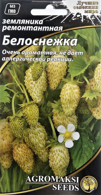 земляника белоснежка